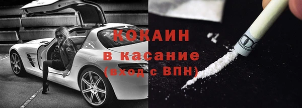 ГАЛЛЮЦИНОГЕННЫЕ ГРИБЫ Богданович