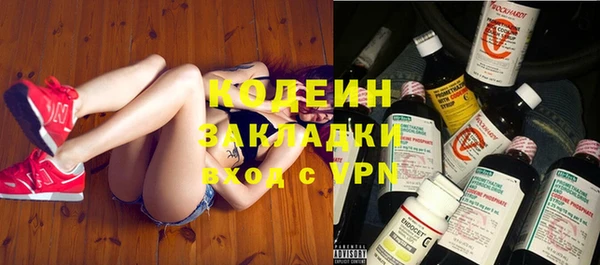 дживик Белокуриха