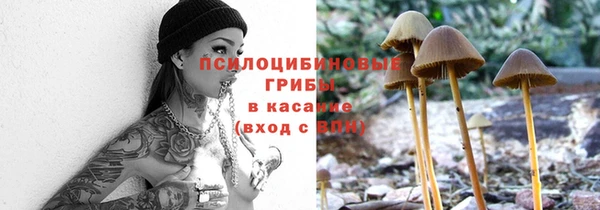 дживик Белокуриха
