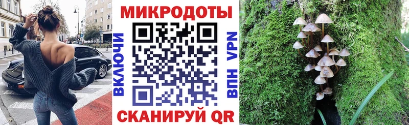 Купить закладки  Сретенск  Галлюциногенные грибы прущие грибы 
